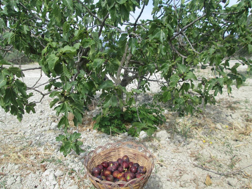 Agriturismo Donna Beatrice Бианко Екстериор снимка