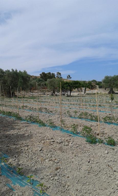 Agriturismo Donna Beatrice Бианко Екстериор снимка