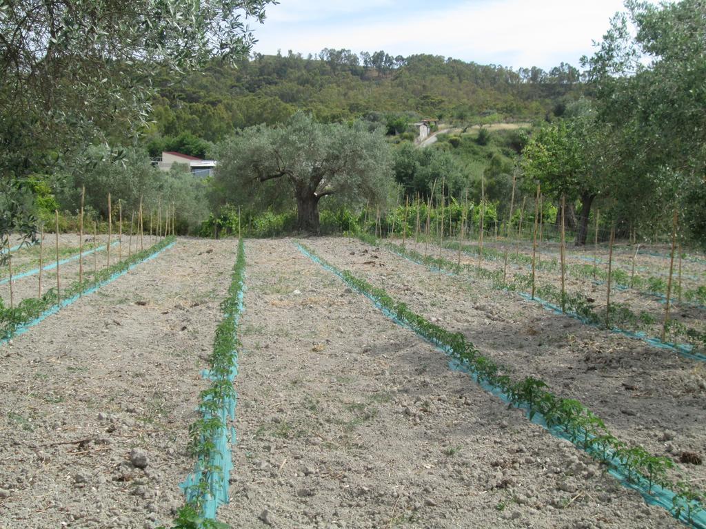 Agriturismo Donna Beatrice Бианко Екстериор снимка